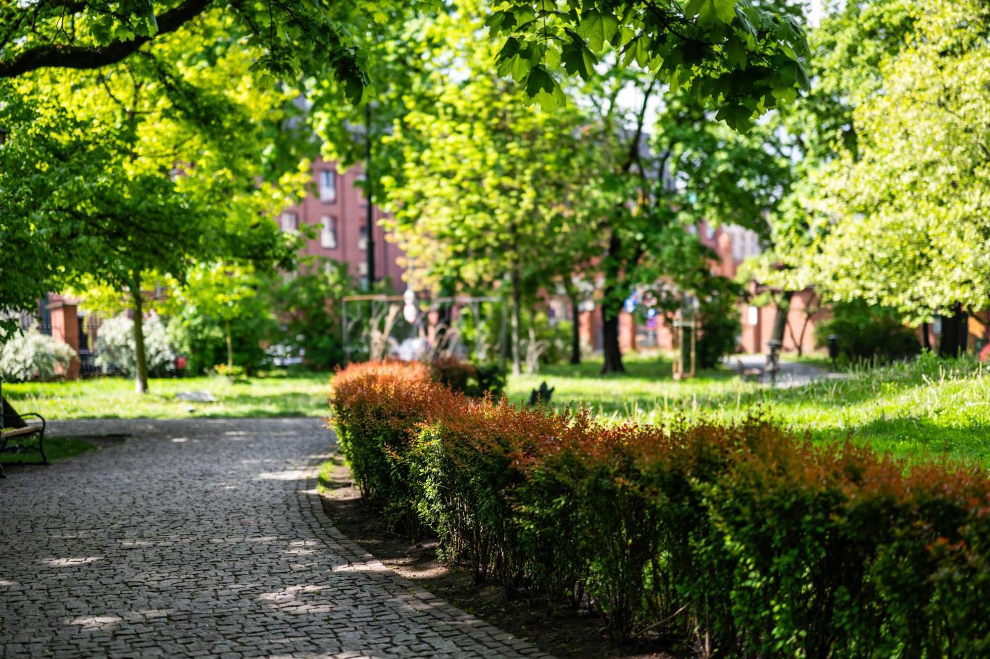 Rimini Moxy Te&Am Cracow Lejlighed Kraków Eksteriør billede